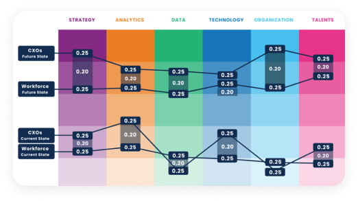 CADS Data Driven Organization (DDO)